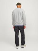 Sweatshirt 'RDDryder'