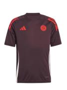 Functioneel shirt 'FC Bayern Tiro 24'