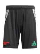 Sportbroek 'Arsenal 24/25'