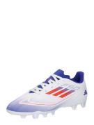 Sportschoen 'F50 Club'