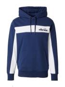 Sweatshirt 'Vierian'