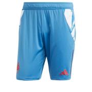 Sportbroek ' France'