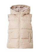 Bodywarmer 'PCBEE'