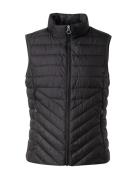 Bodywarmer