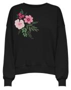 Sweatshirt 'ONLBROOKE'