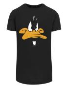 T-Shirt 'Looney Tunes Daffy Duck Big Face'