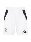 Pantalon de sport 'DFB 24'