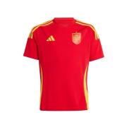 T-Shirt fonctionnel 'Spain 24 Home Fan'