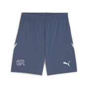 Pantalon de sport 'Schweiz Replica'