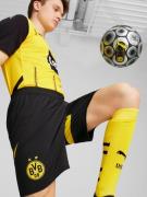 Pantalon de sport 'Borussia Dortmund 24/25'