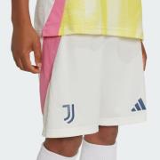 Pantalon de sport 'Juventus 24/25 Away'