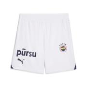 Pantalon de sport 'Fenerbahçe SK '