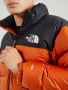 Veste d’hiver '1996 Retro Nuptse'