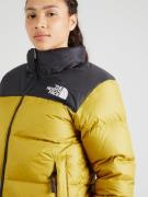 Veste d’hiver '1996 Retro Nuptse'