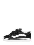 Vans - Td Old Skool