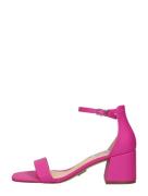 Steve Madden - Low Tide Fuchsia