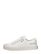 Palladium - Palla Ace