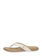 Reef - Cushion Harmony