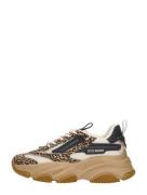 Steve Madden - Possesion-e