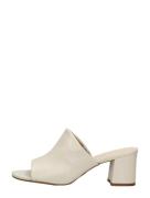 Tango - Brooklynn 16-b