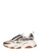 Steve Madden - Possession-e