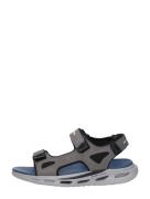 Skechers - Orvan Sd - Gamble