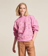 Sweater Butterfly Rose Pink