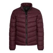 Cappuccino Italia Winter jacket burgundy