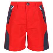 Regatta Sorcer ii bergshorts voor kinderen/kinderen