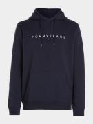 Tommy Hilfiger Sweater reg linear logo dm0dm17985/c1g