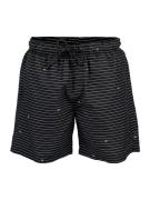 Brunotti cruneco-stripe men swim shorts -