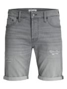 Jack & Jones Jjirick jjicon shorts ge 380 i.k ss grey denim