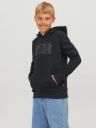 Jack & Jones Jjecorp logo sweat hood ss19 noos j