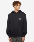 Dickies Hoodie dk0a85srblk1