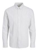 Jack & Jones Jprbrook oxford shirt ls noos dessin