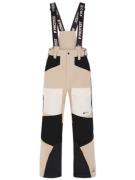 Protest angus snowpants broek ski heren -