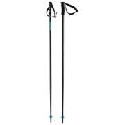 Head multi pole speedbleu / black ov skistokken -