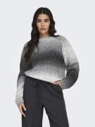 Jacqueline de Yong Jdyeliza l/s raglan o-neck pullover