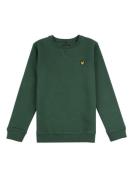 Lyle and Scott Casual sweater jongens