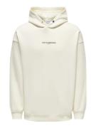 Only & Sons Onsles classiques rlx hoodie sweat