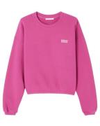 American Vintage Sweat izu03a