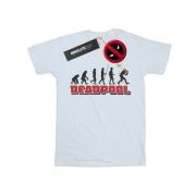 Marvel Avengers Heren deadpool evolution t-shirt