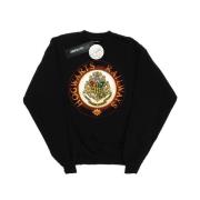 Harry Potter Heren zweinstein rail sweatshirt