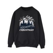 Harry Potter Heren zweinstein kerstmis sweatshirt