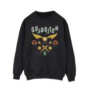 Harry Potter Heren zwerkbal bludgers quaffles sweatshirt