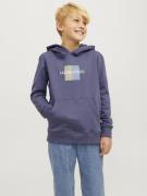 Jack & Jones Jorfrederiksberg box sweat hood sn