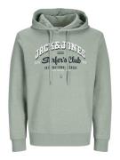 Jack & Jones Jjelogo sweat hood 2 col 24/25 noos