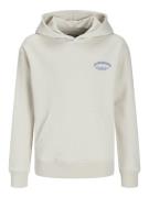 Jack & Jones Jjebrandes backp relaxed sweat h sn