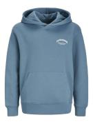 Jack & Jones Jjebrandes backp relaxed sweat h sn