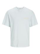 Jack & Jones Jornoto graphic back tee ss crew ne mint